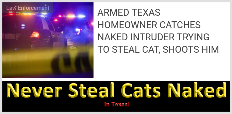 Don't Steal Cats Naked