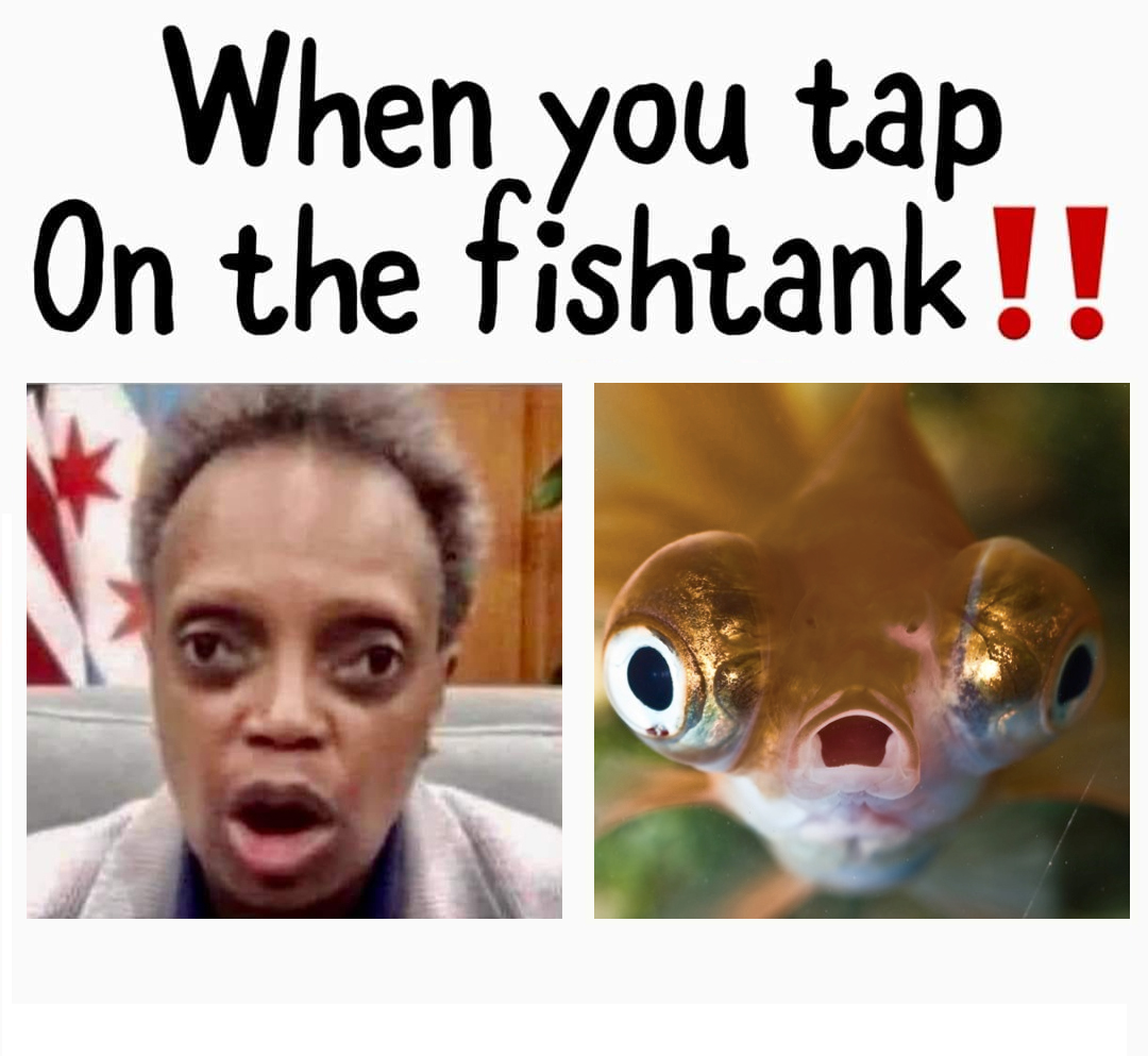 LL-FishTank